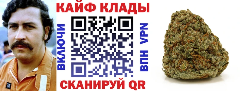 Где купить наркоту Моршанск кракен зеркало ГАШ Канабис КОКАИН