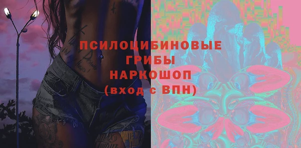 дмт Богданович