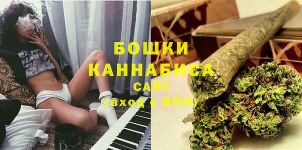 дурь Бронницы