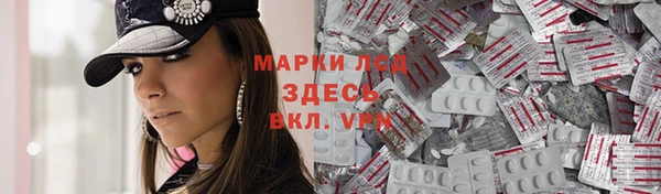 дмт Богданович