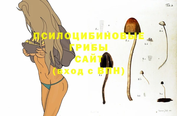 синтетический гашиш Бородино