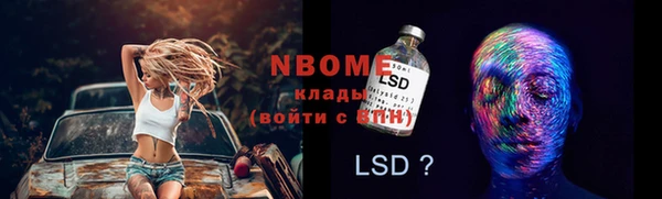 дмт Богданович