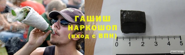 дмт Богданович